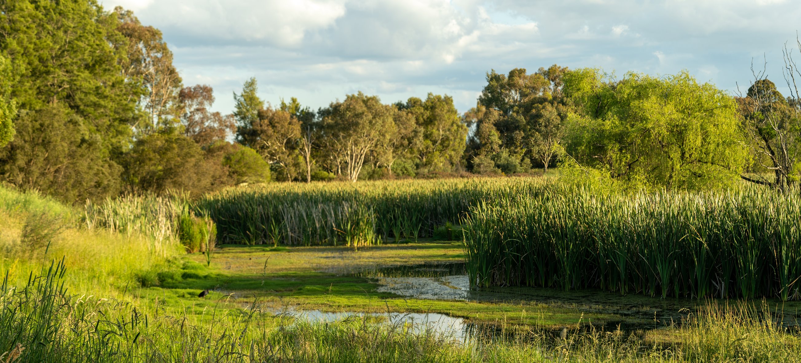 No compliance, no acceptance: Planning and Environment Court of Queensland dismisses an appeal against the refusal of a development application for a preliminary approval for a material change of use including a variation request and a development permit for reconfiguring a lot, finding significant 