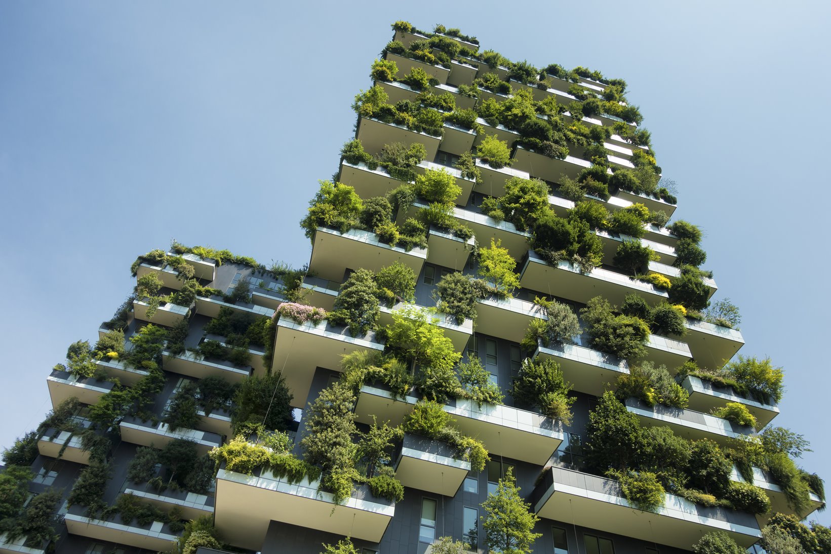 Planning and Environment Court of Queensland gives material weight to a later planning scheme and refuses a development application for a preliminary approval for mixed use development