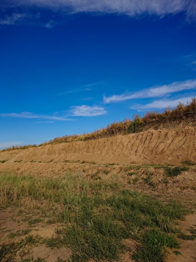 New South Wales Land and Environment Court extensively considers the "fit and proper person" test for issuing an environment protection licence in Crush and Haul Pty Ltd v Environment Protection Authority [2023] NSWLEC 1367