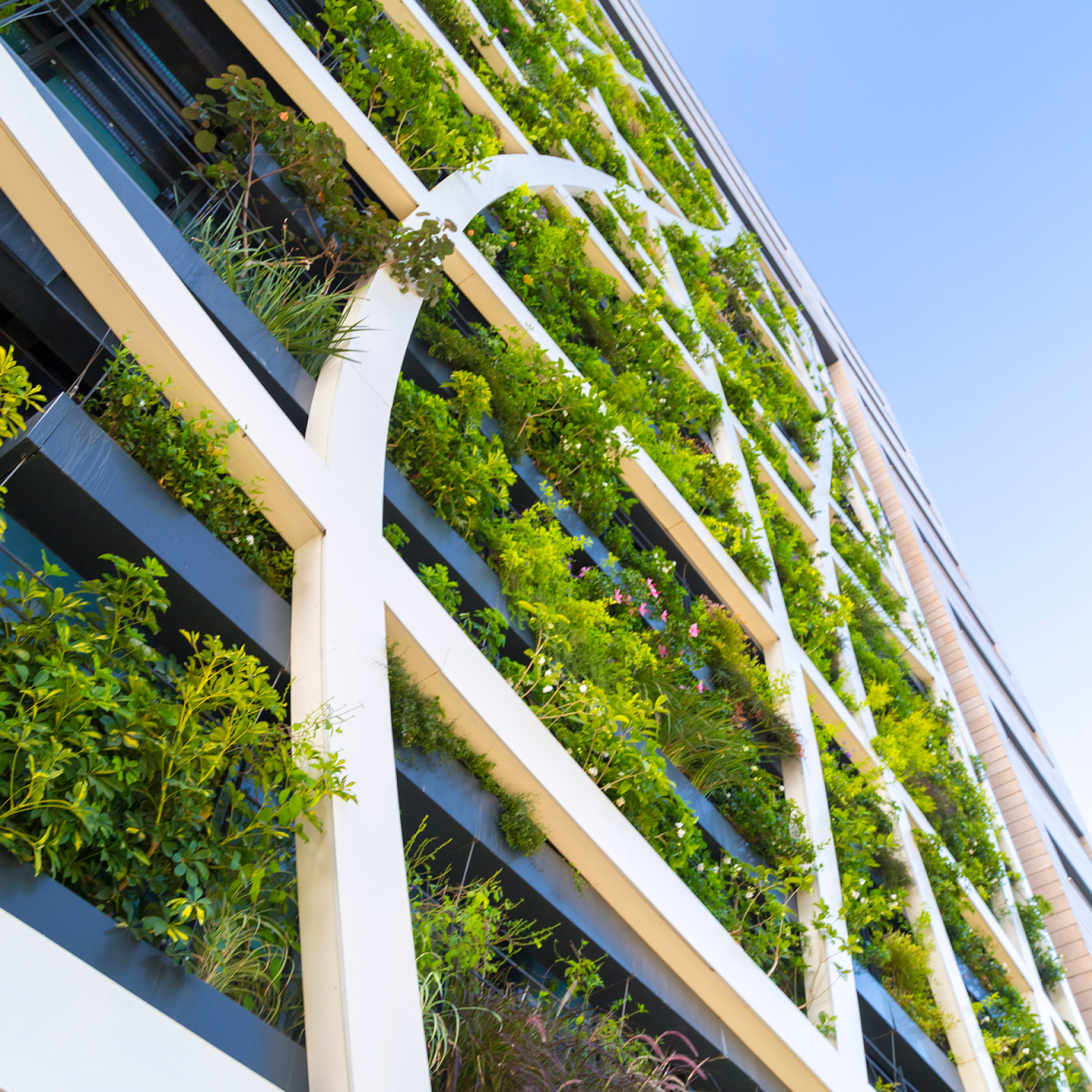Amendments matter: Queensland Planning and Environment Court upholds refusal of development application, giving decisive weight to amended planning scheme.
