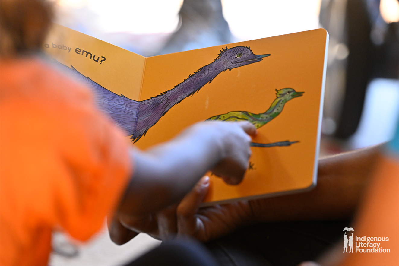 Indigenous Cadetship Program