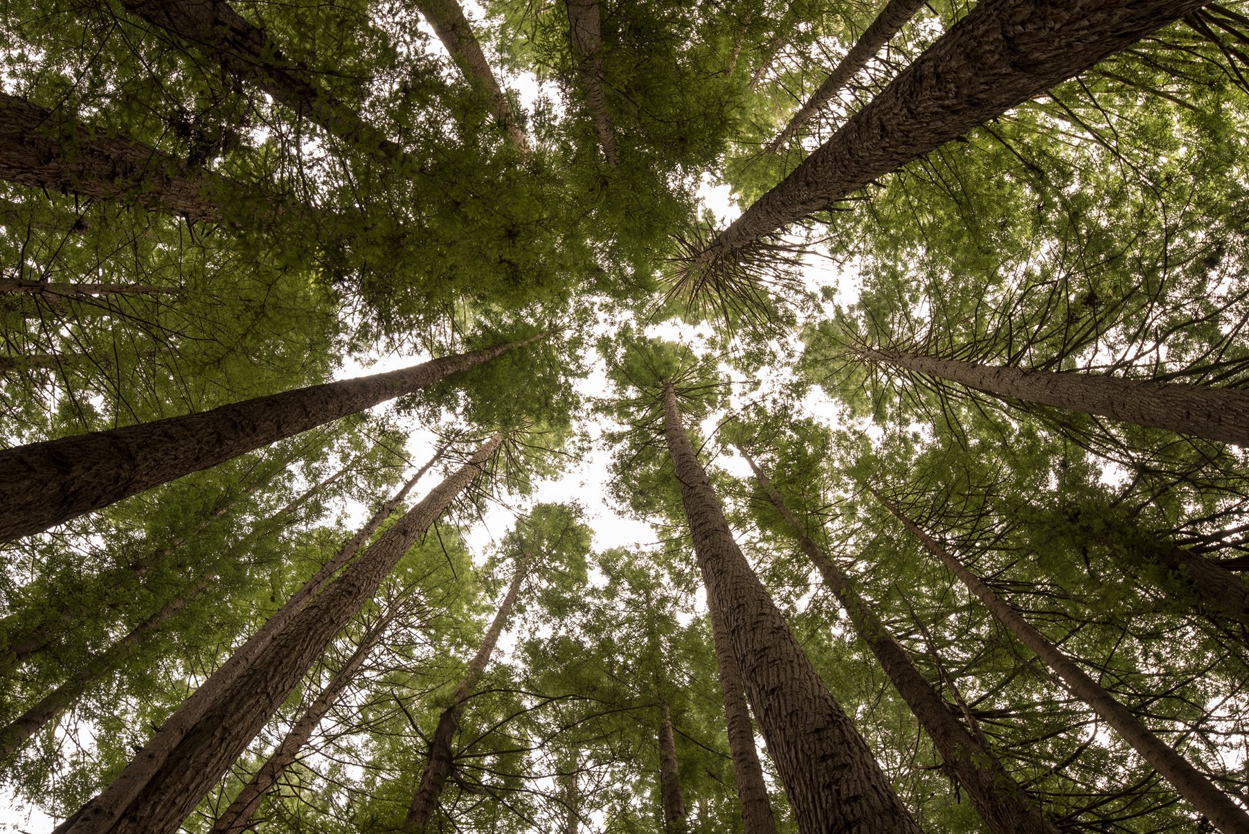 No takers for caretaker's accommodation: Planning and Environment Court of Queensland confirms decision to refuse an application for a material change of use for caretaker's accommodation and animal keeping in the Tallebudgera Valley on the Gold Coast