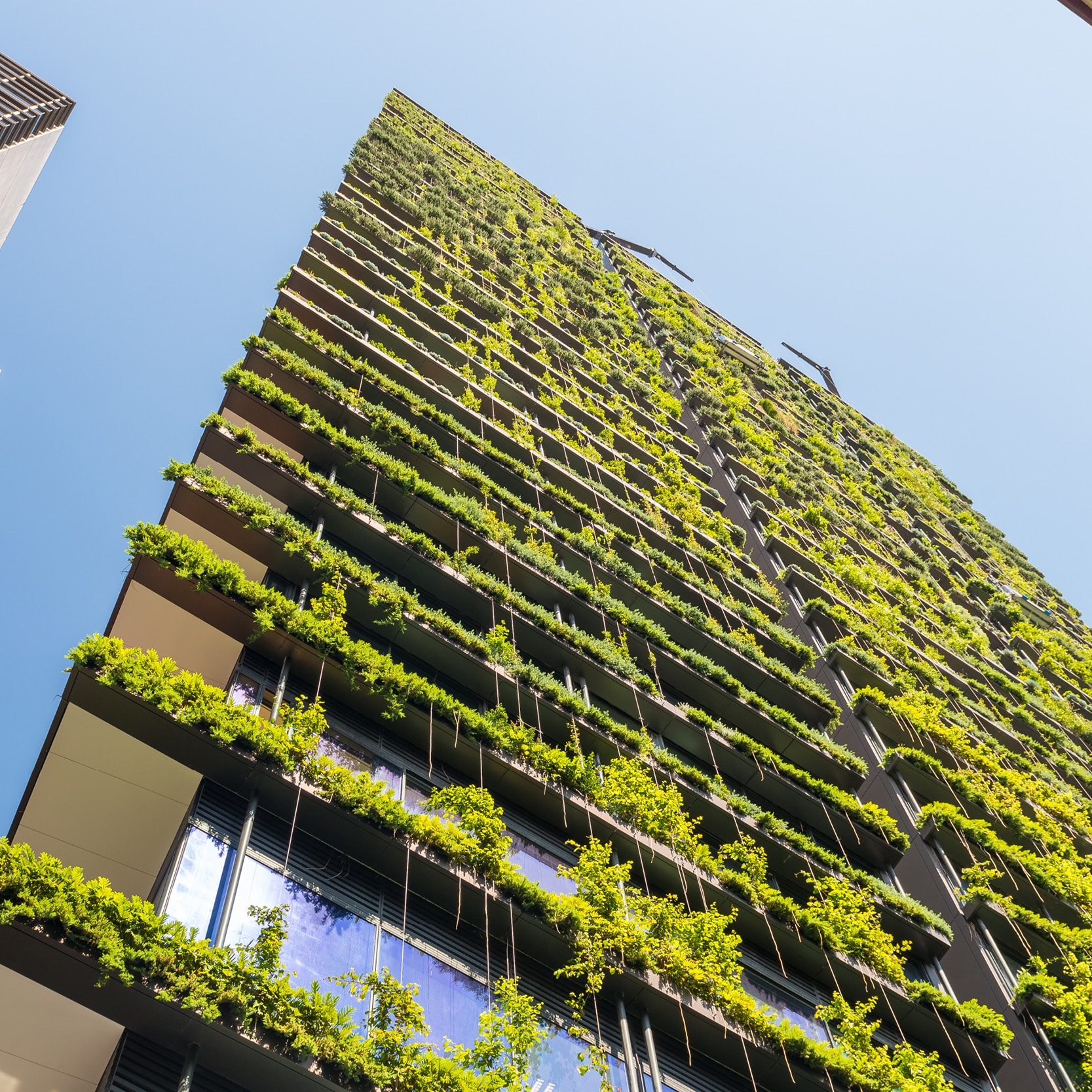 Complying development certificate invalidated: New South Wales Land and Environment Court has declared a complying development certificate invalid because of draft heritage status