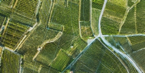 No compliance, no acceptance: Planning and Environment Court of Queensland dismisses an appeal against the refusal of a development application for a preliminary approval for a material change of use including a variation request and a development permit for reconfiguring a lot, finding significant 